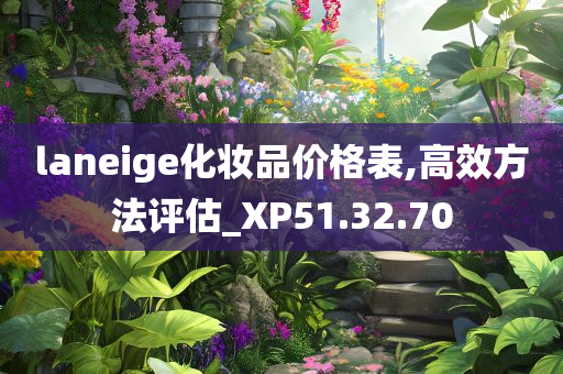 laneige化妆品价格表,高效方法评估_XP51.32.70