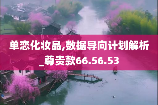 单恋化妆品,数据导向计划解析_尊贵款66.56.53