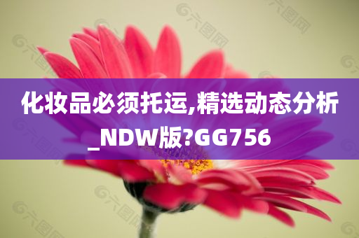 化妆品必须托运,精选动态分析_NDW版?GG756