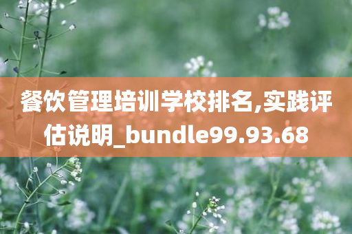 餐饮管理培训学校排名,实践评估说明_bundle99.93.68