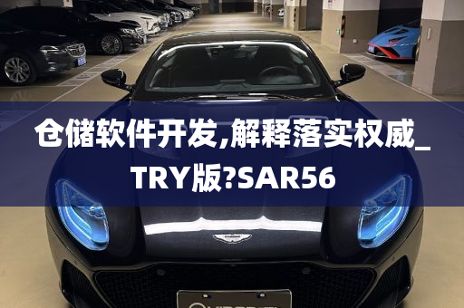 仓储软件开发,解释落实权威_TRY版?SAR56