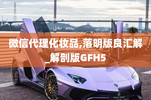 微信代理化妆品,落明版良汇解_解剖版GFH5