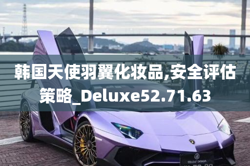 韩国天使羽翼化妆品,安全评估策略_Deluxe52.71.63