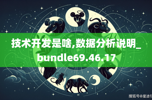 技术开发是啥,数据分析说明_bundle69.46.17