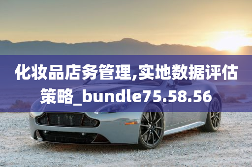 化妆品店务管理,实地数据评估策略_bundle75.58.56