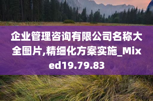 企业管理咨询有限公司名称大全图片,精细化方案实施_Mixed19.79.83