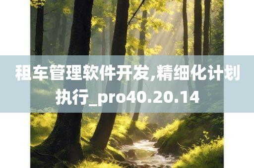 租车管理软件开发,精细化计划执行_pro40.20.14