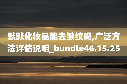 默默化妆品能去皱纹吗,广泛方法评估说明_bundle46.15.25