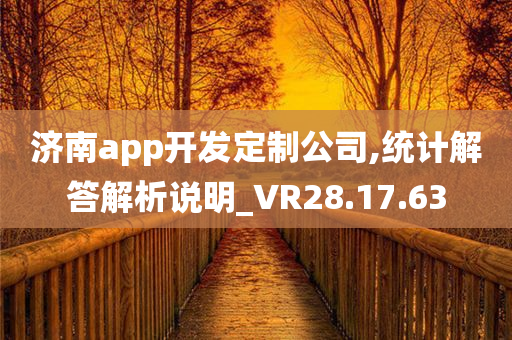 济南app开发定制公司,统计解答解析说明_VR28.17.63