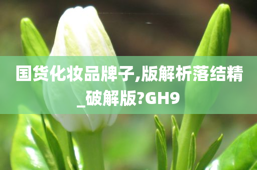 国货化妆品牌子,版解析落结精_破解版?GH9