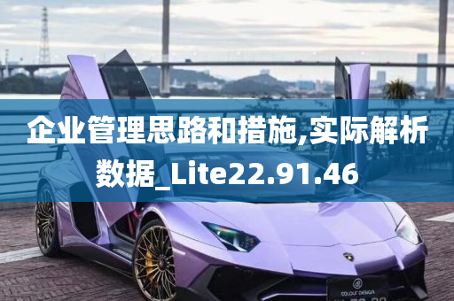 企业管理思路和措施,实际解析数据_Lite22.91.46