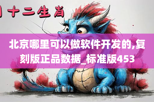 北京哪里可以做软件开发的,复刻版正品数据_标准版453