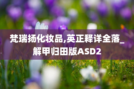 梵瑞扬化妆品,英正释详全落_解甲归田版ASD2