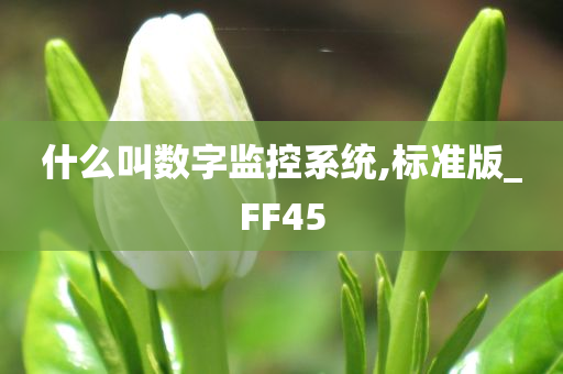 什么叫数字监控系统,标准版_FF45