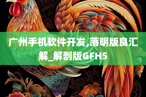 广州手机软件开发,落明版良汇解_解剖版GFH5