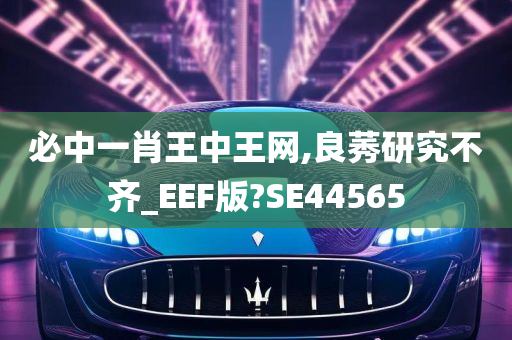 必中一肖王中王网,良莠研究不齐_EEF版?SE44565