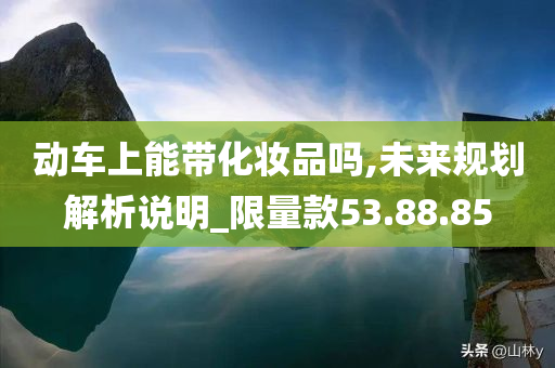 动车上能带化妆品吗,未来规划解析说明_限量款53.88.85