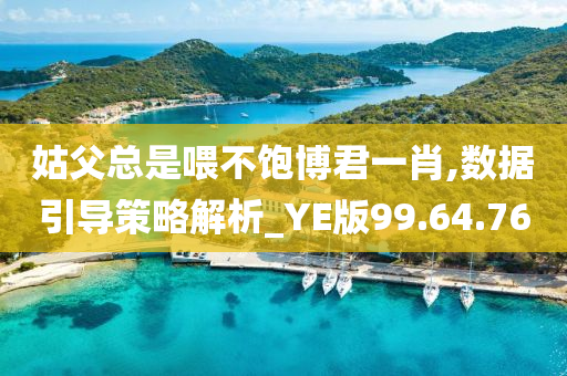 姑父总是喂不饱博君一肖,数据引导策略解析_YE版99.64.76