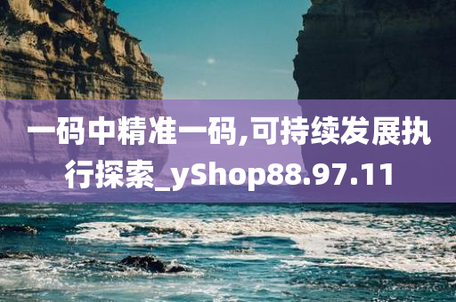 一码中精准一码,可持续发展执行探索_yShop88.97.11