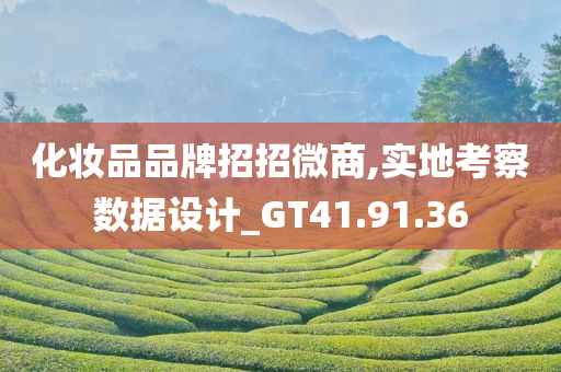 化妆品品牌招招微商,实地考察数据设计_GT41.91.36