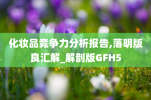 化妆品竞争力分析报告,落明版良汇解_解剖版GFH5