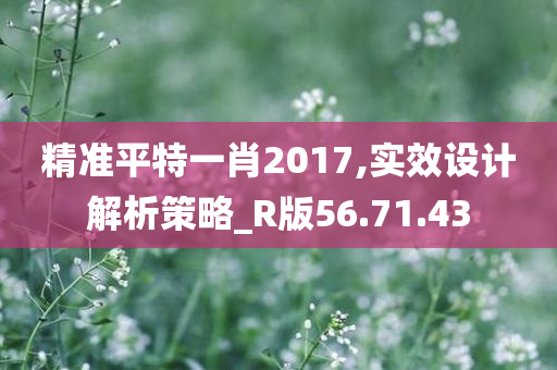 精准平特一肖2017,实效设计解析策略_R版56.71.43