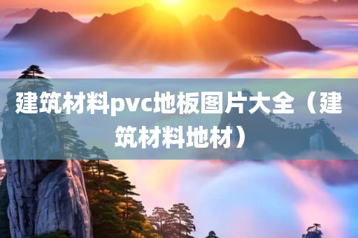 建筑材料pvc地板图片大全（建筑材料地材）