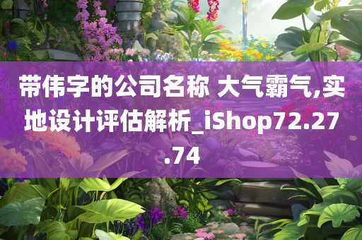 带伟字的公司名称 大气霸气,实地设计评估解析_iShop72.27.74