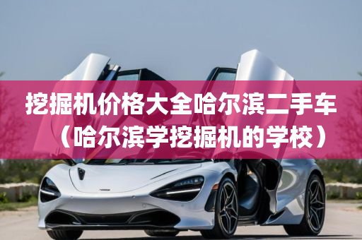 挖掘机价格大全哈尔滨二手车（哈尔滨学挖掘机的学校）