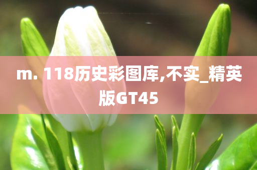 m. 118历史彩图库,不实_精英版GT45