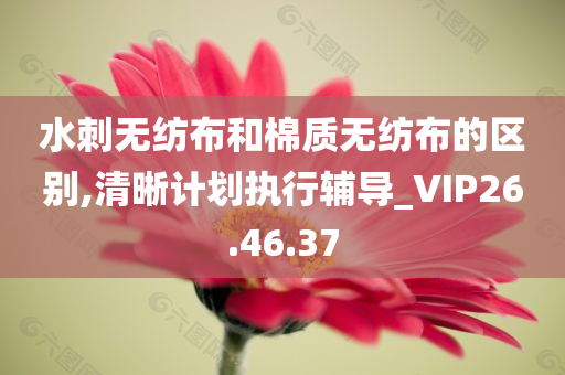 水刺无纺布和棉质无纺布的区别,清晰计划执行辅导_VIP26.46.37