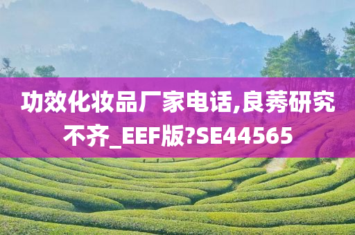 功效化妆品厂家电话,良莠研究不齐_EEF版?SE44565