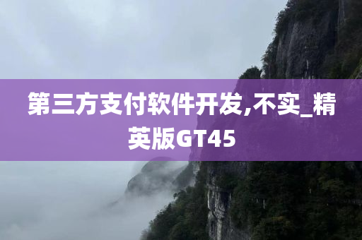 第三方支付软件开发,不实_精英版GT45