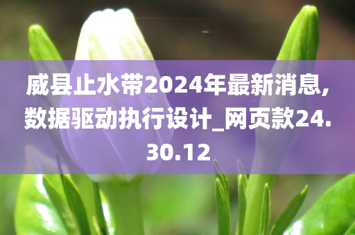 威县止水带2024年最新消息,数据驱动执行设计_网页款24.30.12