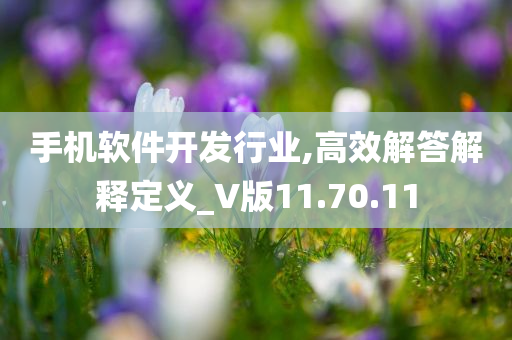 手机软件开发行业,高效解答解释定义_V版11.70.11