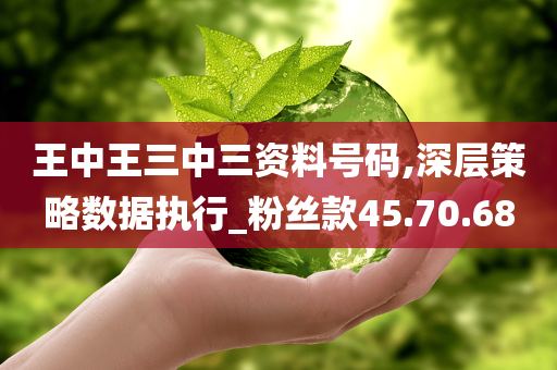 王中王三中三资料号码,深层策略数据执行_粉丝款45.70.68