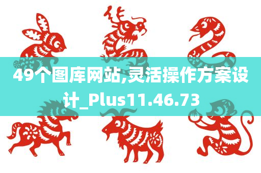 49个图库网站,灵活操作方案设计_Plus11.46.73