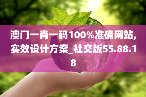 澳门一肖一码100%准确网站,实效设计方案_社交版55.88.18