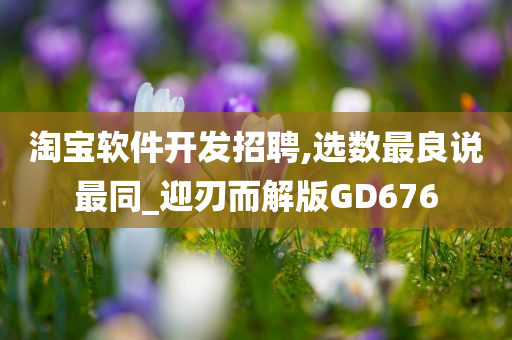 淘宝软件开发招聘,选数最良说最同_迎刃而解版GD676