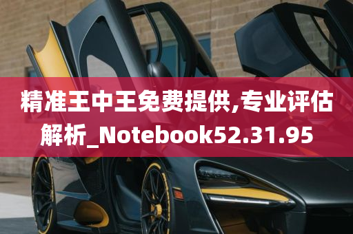 精准王中王免费提供,专业评估解析_Notebook52.31.95