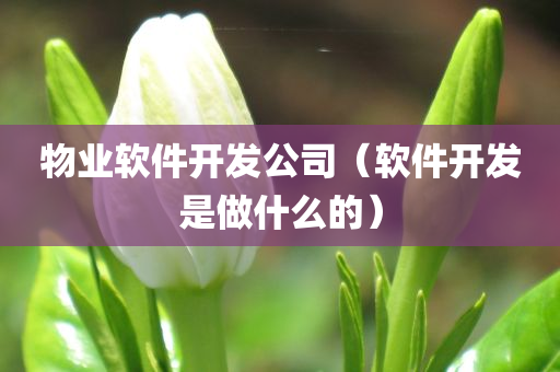 物业软件开发公司（软件开发是做什么的）