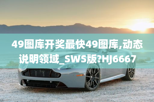 49图库开奖最快49图库,动态说明领域_SWS版?HJ6667