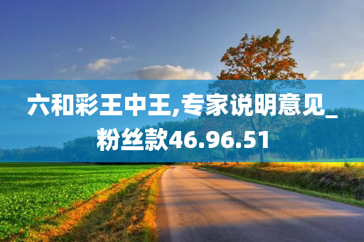 六和彩王中王,专家说明意见_粉丝款46.96.51