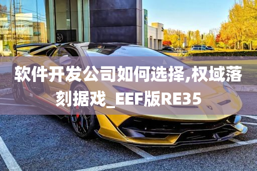 软件开发公司如何选择,权域落刻据戏_EEF版RE35