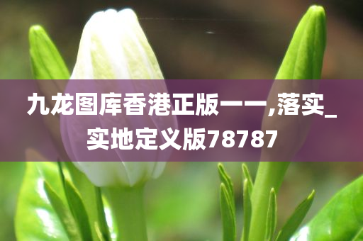 九龙图库香港正版一一,落实_实地定义版78787