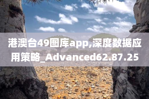 港澳台49图库app,深度数据应用策略_Advanced62.87.25