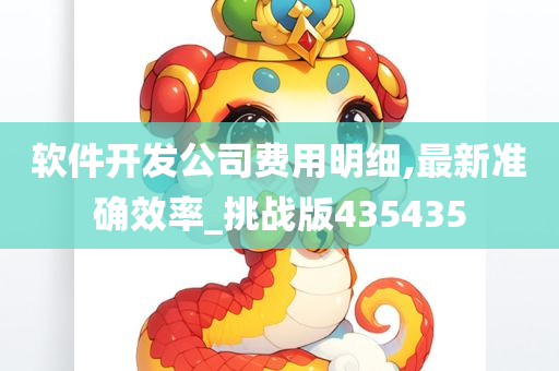 软件开发公司费用明细,最新准确效率_挑战版435435