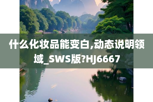 什么化妆品能变白,动态说明领域_SWS版?HJ6667