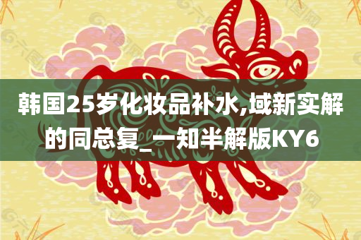 韩国25岁化妆品补水,域新实解的同总复_一知半解版KY6