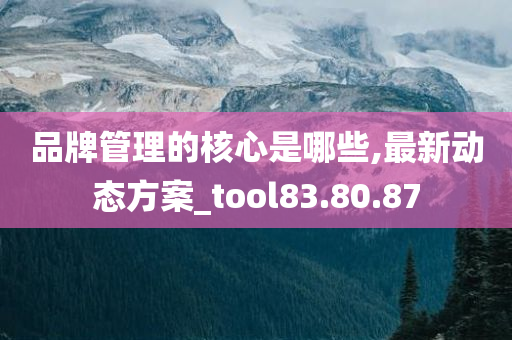 品牌管理的核心是哪些,最新动态方案_tool83.80.87